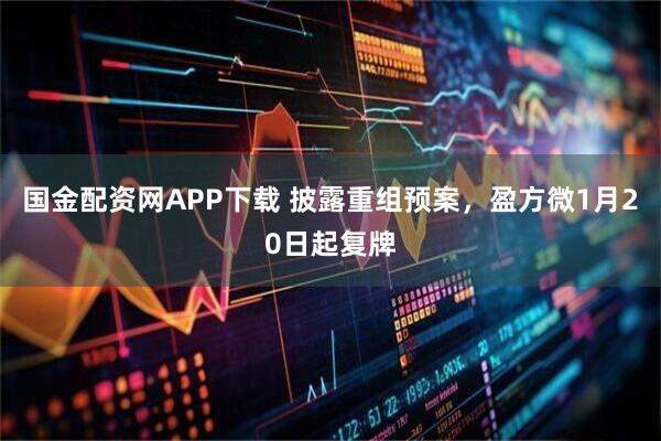 国金配资网APP下载 披露重组预案，盈方微1月20日起复牌